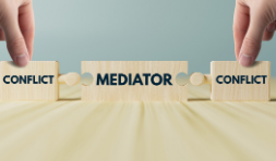 The International Organization for Mediation injects new impetus of peace into the world